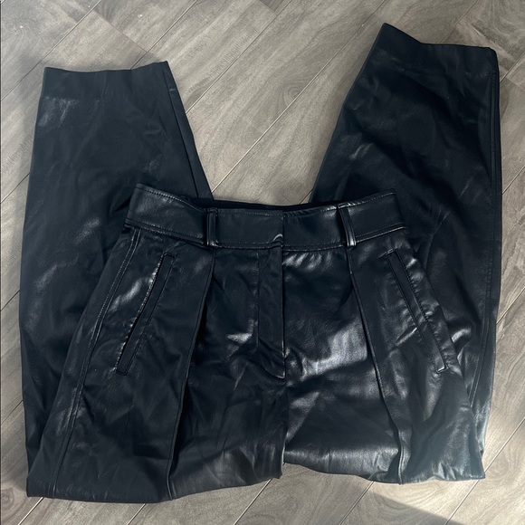 Babaton Pants - Babaton Aritzia Shiny Black Pants